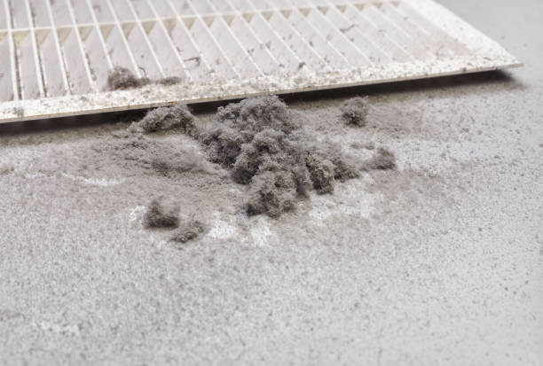 Best Air Duct Sanitizing Services  in Cassville, MO