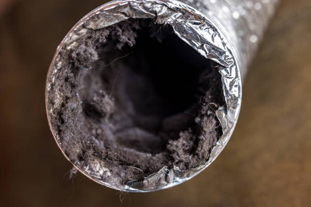 Best Duct Cleaning for Homes  in Cassville, MO
